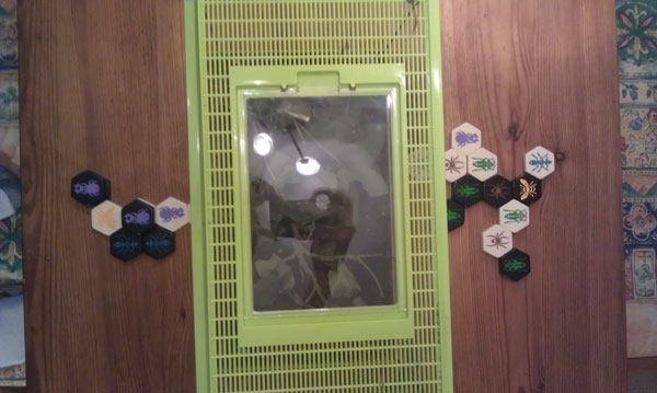 brendan hive 14