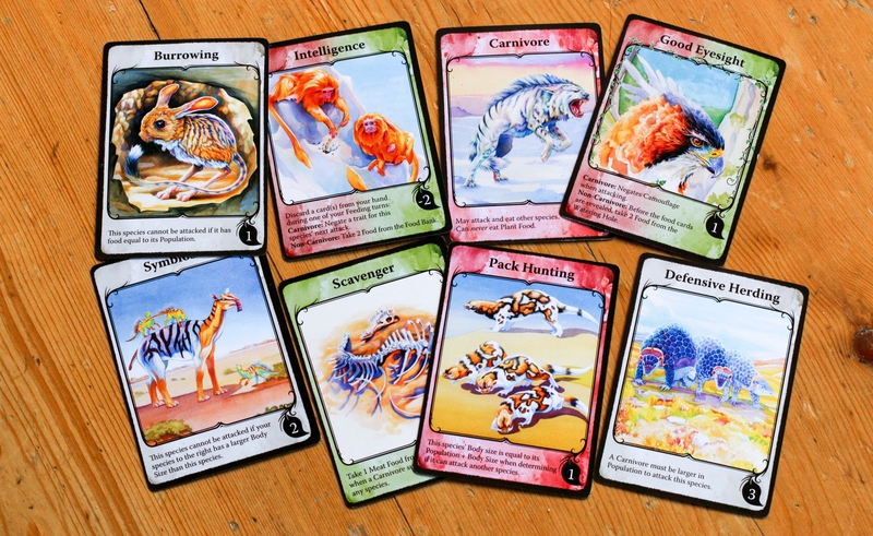 evolution cards