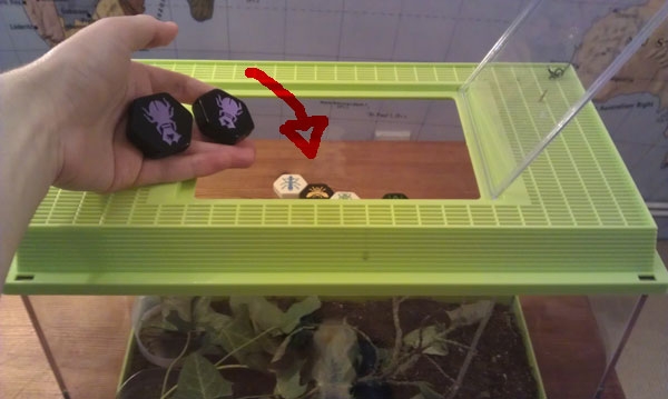 brendan hive 15